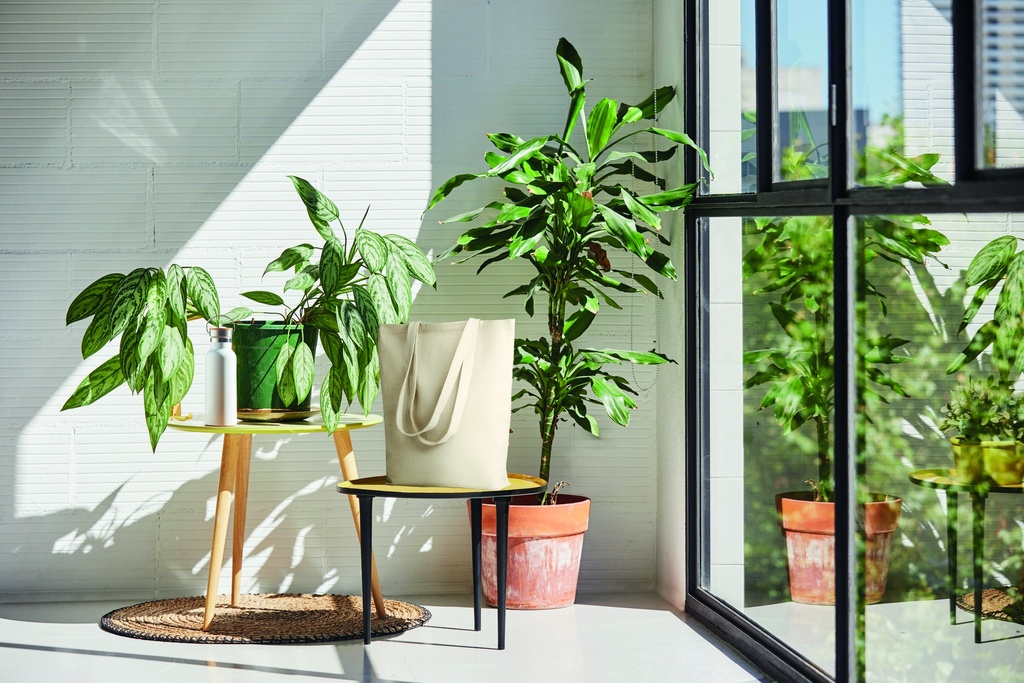 item_ambiant_picture