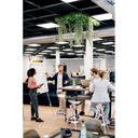 item_ambiant_picture