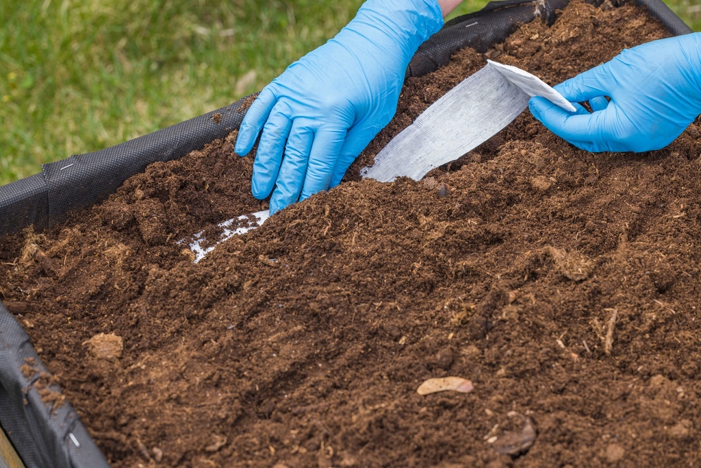 item_ambiant_picture