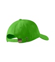 Czapka unisex - green apple - d