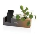 P438.013__P_504.jpg