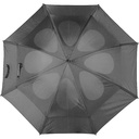 V4213-19_IPN01.jpg