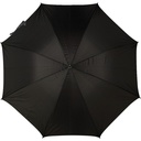 V4220-03_IPN01.jpg