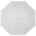 V4221-02_ITP01.jpg