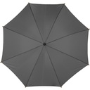 V4232-19_IPN01.jpg