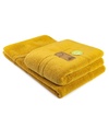 AR019_Mustard