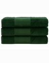 AR070_Dark-Green