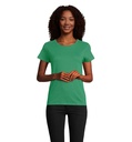 PIONEER WOMEN 175g S03579-KG - Zielony