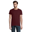 Koszulka meska PIONEER 175g S03565-BG - Burgundy