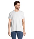 REGENT V  V-NECK T-SHIRT S04765-WH - Bialy