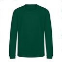 Bluza Dziecięca Bawełniana Czesana JH030K - Rainforest Green