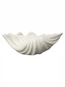 Miska Shell 5260906502 - White