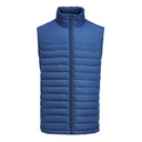 ARCHES VEST – BLUE