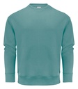 HOPEDALE CREWNECK – ALOE GREEN