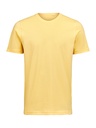T-SHIRT REGULAR FIT (OCS) – RAY