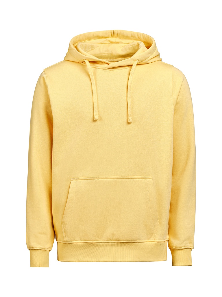 Bluza Regular Fit (Ocs-Rcs) 3440010 - Ray