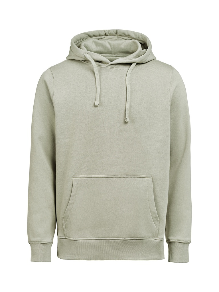 HOODIE REGULAR FIT (OCS-RCS) – SAGE