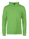 Polar Switch 2261510 - Lime