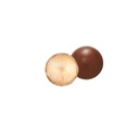 Pralinka Sweet Sphere logo – Mleczna z orzechów laskowych – pakiet 2000 szt.