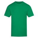 T-shirt Klasyczny Bawełniany AWT002 - Kelly Green
