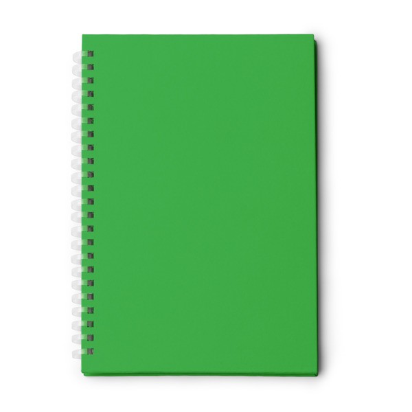 Notebook MISTROL NB2011 - zielony paprotkowy