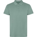 Koszulka polo COBAIN PO2202 - duck green