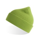 Czapka prazkowana AT116 - Leaf Green