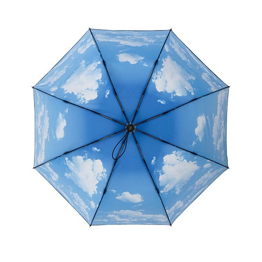 Parasol kieszonkowy automatyczny FA5593 - Black & Clouds