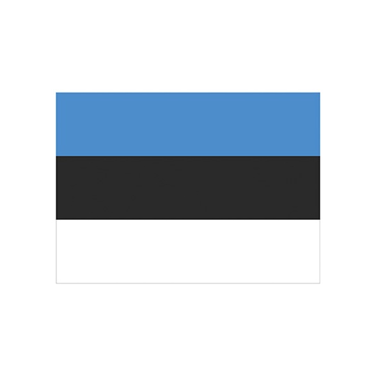 Flaga FLAGEE - Estonia