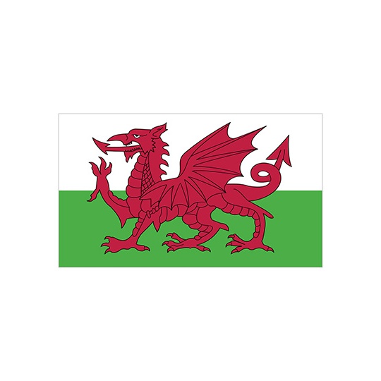 Flaga Walii FLAGWLS - Wales