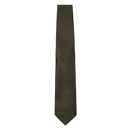 Krawat Gladki Satynowy TT901 - Brown