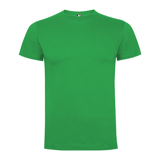 T-shirt Męski Bawełniany Single Jersey RY6502 - Irish Green 24