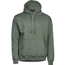 Bluza z Kapturem Klasyczna Bawełniana Szczotkowana TJ5430 - Leaf Green
