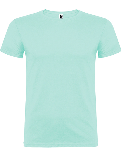 Koszulka męska z krótkim rękawem RY6554 - Mint 98