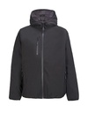 Kurtka Meska Pikowana Softshellowa Wodoodporna Oddychajaca L04449 - Black