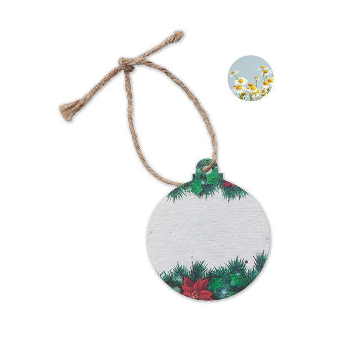 Ozdoba swiateczna z nasionami CX1515-06 - Bialy