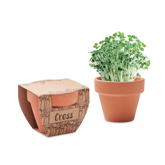 Nasiona rzezuchy w doniczce MO2219-40 - Drewna