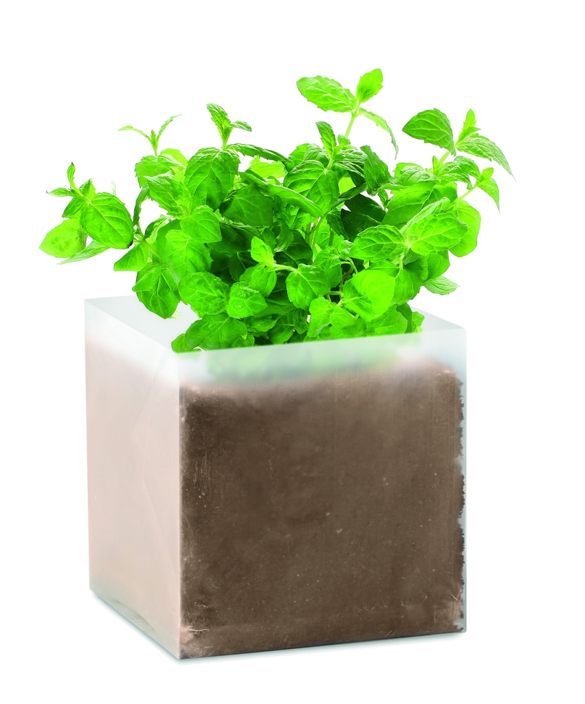 Zestaw do uprawy "Mieta " MO9546-13 - Bezowy