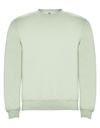Bluza Dresowa Klasyczna Bawelniana Poliestrowa RY1070 - Mist Green 264