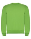 Bluza Dresowa Klasyczna Bawelniana Poliestrowa RY1070 - Oasis Green 114
