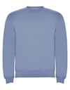 Bluza Dresowa Klasyczna Bawelniana Poliestrowa RY1070 - Zen Blue 263