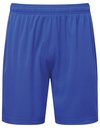 Spodenki Sportowe Unisex Odprowadzajace Wilgoc TR507 - Royal