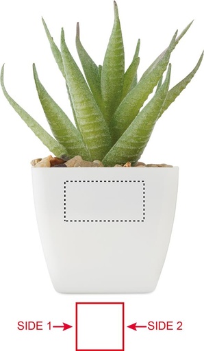 SIDE 1 DL (do 30 x 15 mm)