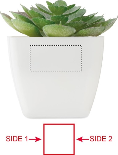 SIDE 1 DL (do 30 x 15 mm)