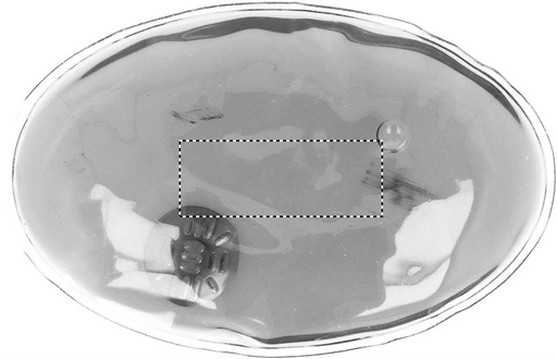 FRONT (do 40 x 15 mm)