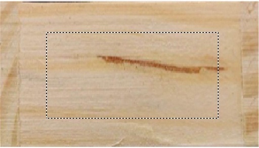 BACK (do 30 x 15 mm)