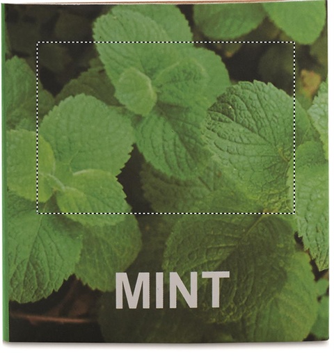 BOX FRONT (do 60 x 40 mm)