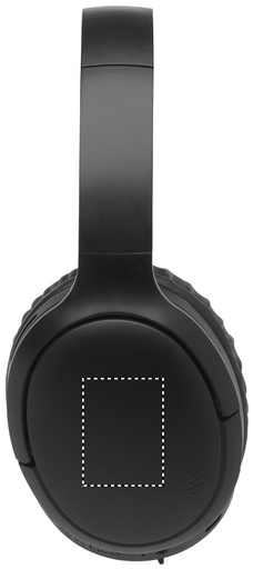 Miejsce znakowania: EAR RIGHT (do 30 x 40 mm)