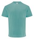 DEVONS T-SHIRT – ALOE GREEN