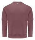 HOPEDALE CREWNECK – DUSTY RED